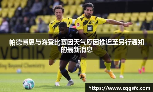 帕德博恩与海登比赛因天气原因推迟至另行通知的最新消息